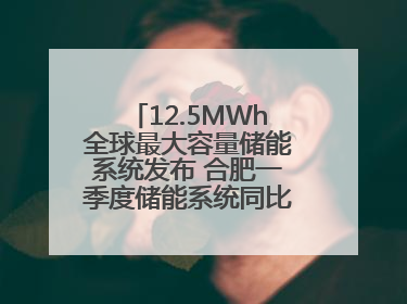12.5MWh全球最大容量储能系统发布 合肥一季度储能系统同比增长425%